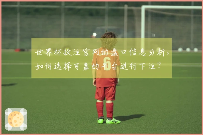 世界杯投注官网的盘口信息分析，如何选择可靠的平台进行下注？