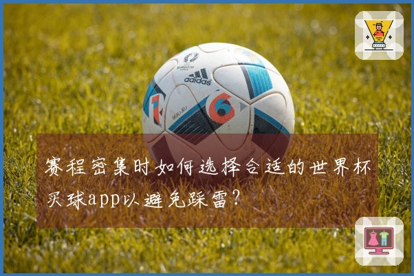 赛程密集时如何选择合适的世界杯买球app以避免踩雷？