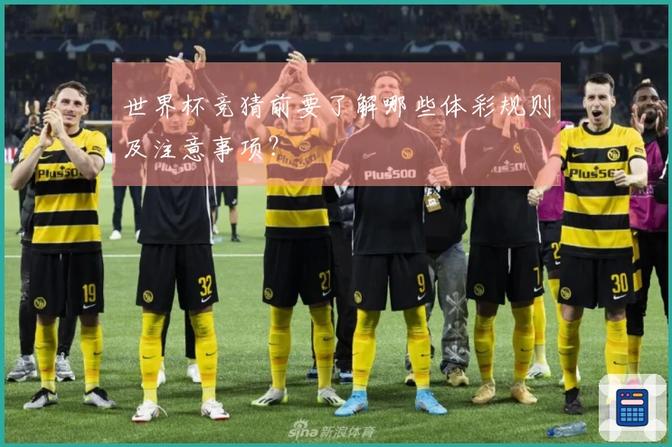 世界杯竞猜前要了解哪些体彩规则及注意事项？