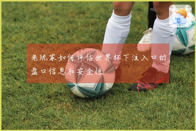 老玩家如何评估世界杯下注入口的盘口信息和安全性