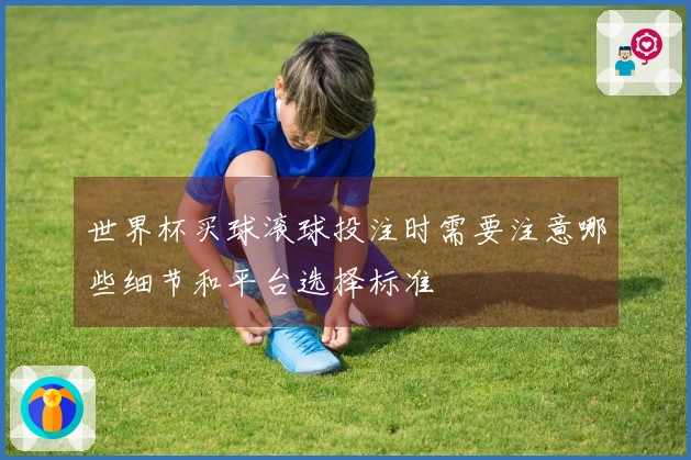 世界杯买球滚球投注时需要注意哪些细节和平台选择标准