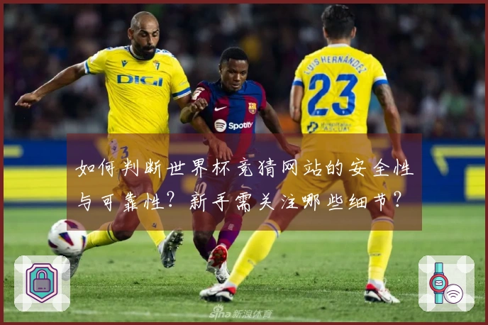 如何判断世界杯竞猜网站的安全性与可靠性？新手需关注哪些细节？