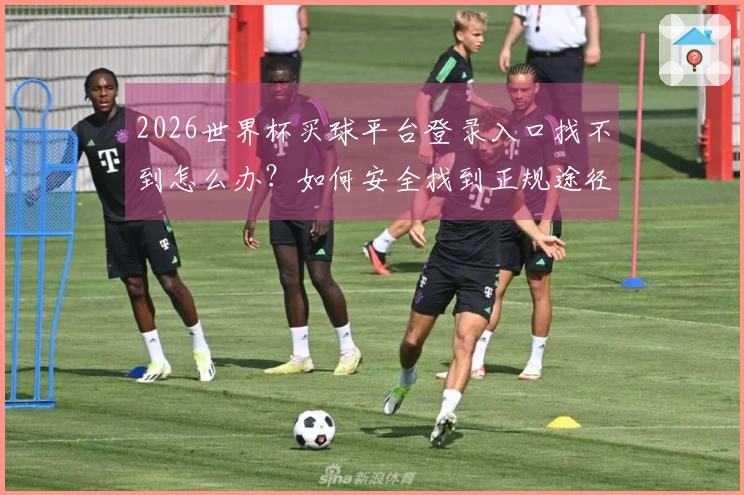 2026世界杯买球平台登录入口找不到怎么办？如何安全找到正规途径 