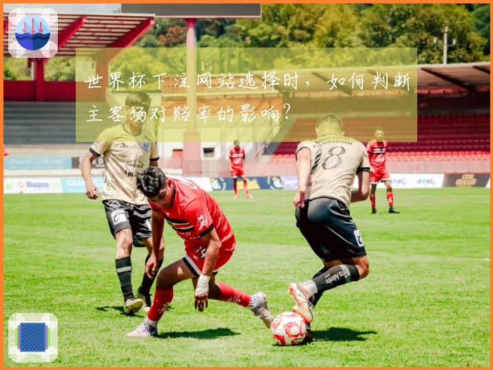 世界杯下注网站选择时，如何判断主客场对赔率的影响？