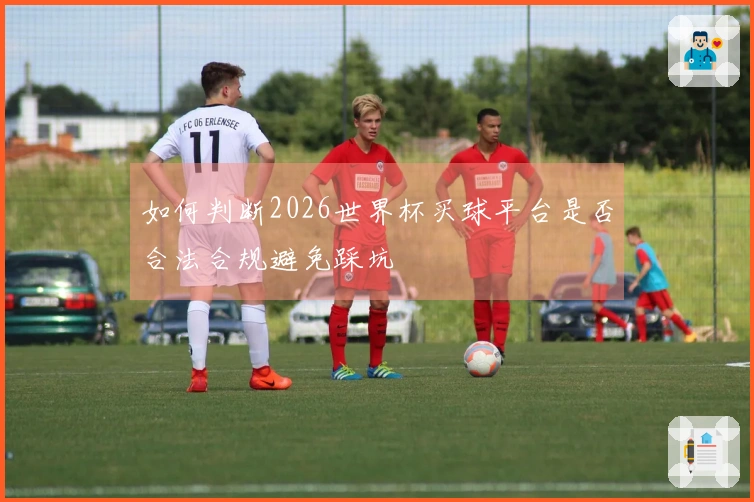 如何判断2026世界杯买球平台是否合法合规避免踩坑