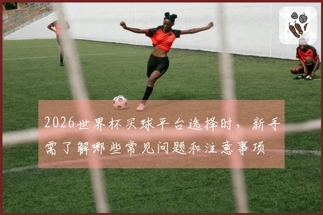 2026世界杯买球平台选择时，新手需了解哪些常见问题和注意事项