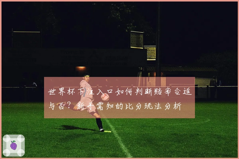 世界杯下注入口如何判断赔率合适与否？新手需知的比分玩法分析