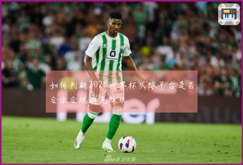 如何判断2026世界杯买球平台是否合法合规避免踩坑
