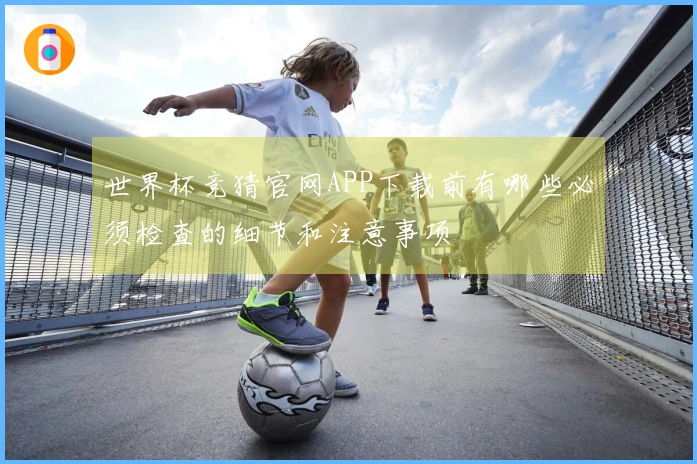 世界杯竞猜官网APP下载前有哪些必须检查的细节和注意事项