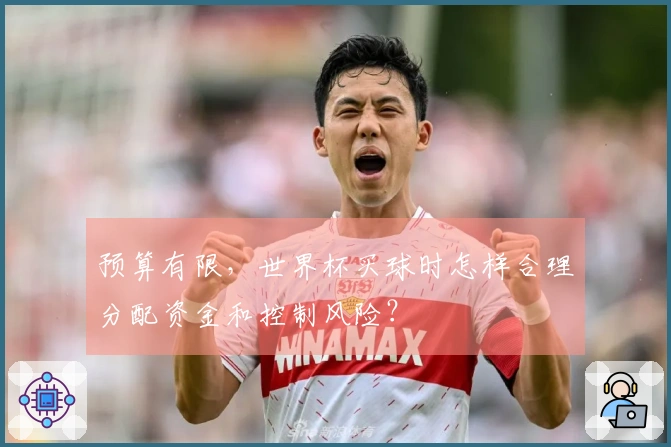 预算有限，世界杯买球时怎样合理分配资金和控制风险？
