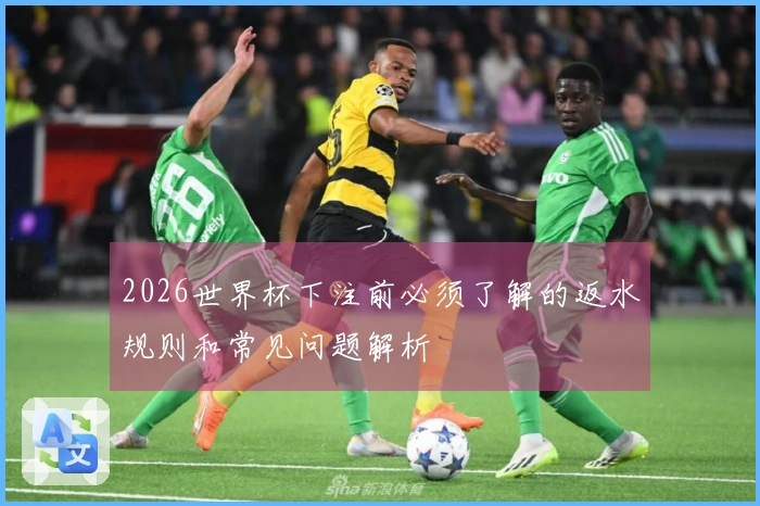 2026世界杯下注前必须了解的返水规则和常见问题解析
