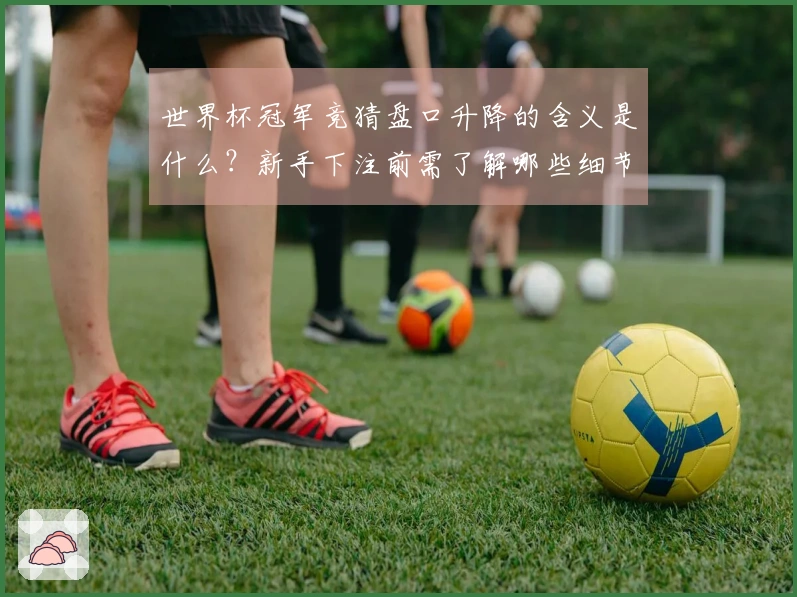 世界杯冠军竞猜盘口升降的含义是什么？新手下注前需了解哪些细节？