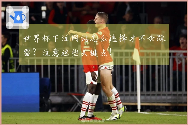 世界杯下注网站怎么选择才不会踩雷？注意这些关键点！