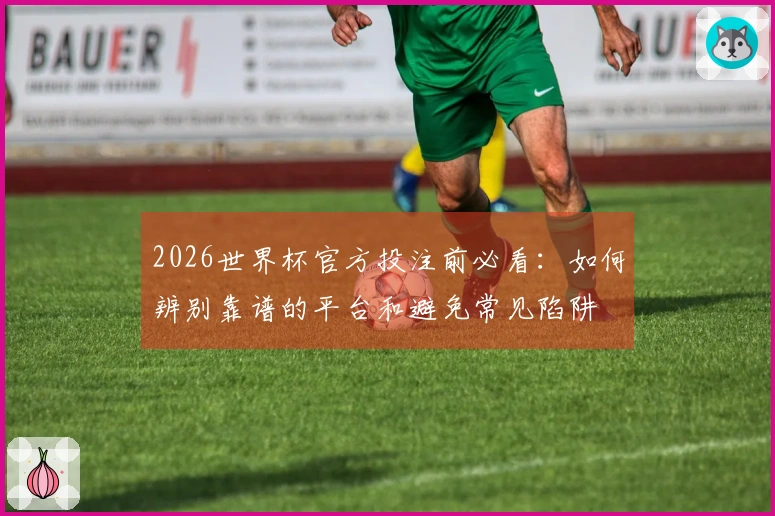 2026世界杯官方投注前必看：如何辨别靠谱的平台和避免常见陷阱