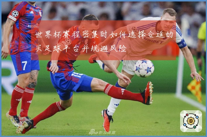 世界杯赛程密集时如何选择合适的买足球平台并规避风险
