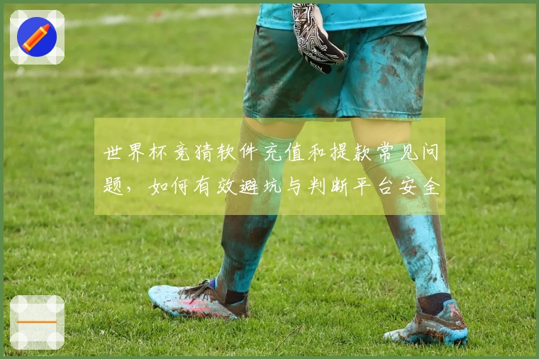 世界杯竞猜软件充值和提款常见问题，如何有效避坑与判断平台安全性