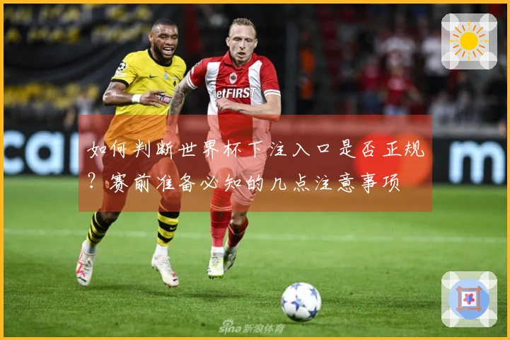 如何判断世界杯下注入口是否正规？赛前准备必知的几点注意事项