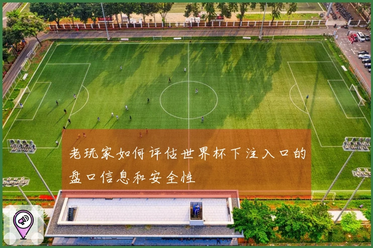 老玩家如何评估世界杯下注入口的盘口信息和安全性