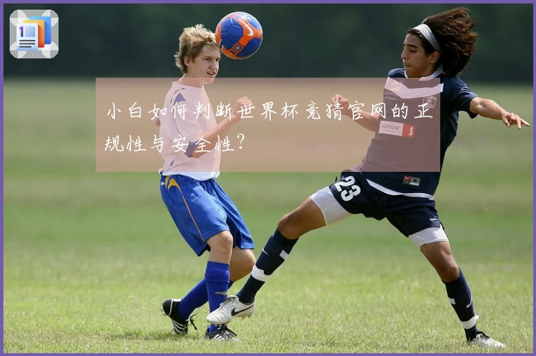 小白如何判断世界杯竞猜官网的正规性与安全性？