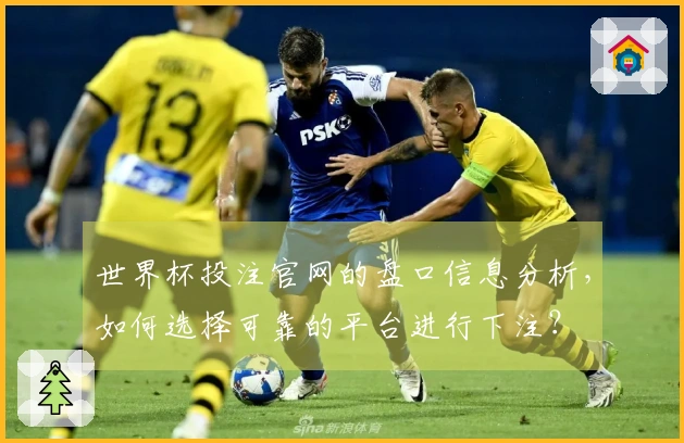 世界杯投注官网的盘口信息分析，如何选择可靠的平台进行下注？