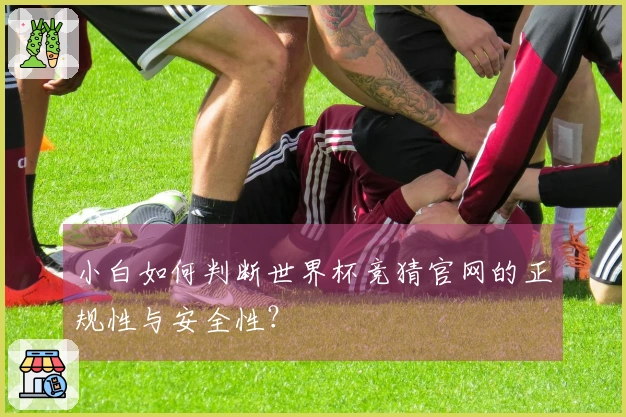 小白如何判断世界杯竞猜官网的正规性与安全性？