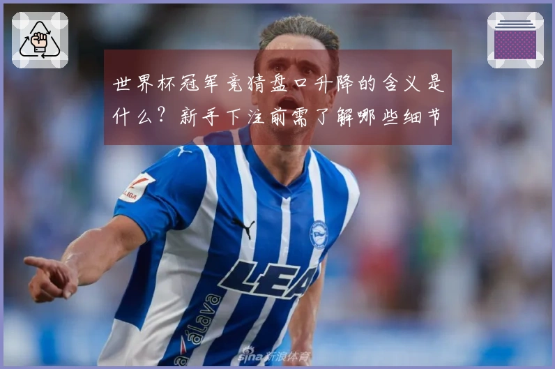 世界杯冠军竞猜盘口升降的含义是什么？新手下注前需了解哪些细节？