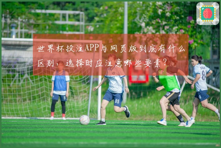 世界杯投注APP与网页版到底有什么区别，选择时应注意哪些要素？