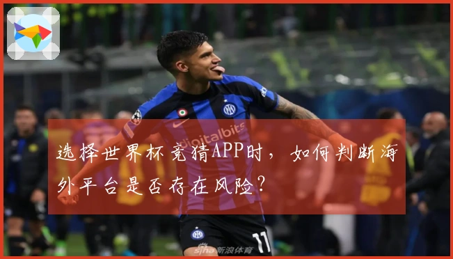 选择世界杯竞猜APP时，如何判断海外平台是否存在风险？