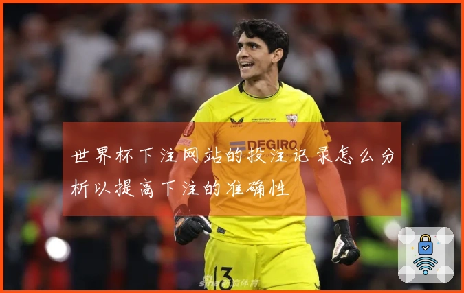 世界杯下注网站的投注记录怎么分析以提高下注的准确性