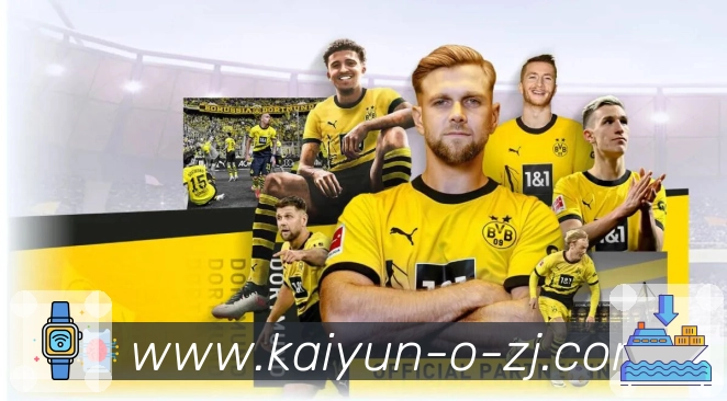 开云账号保护